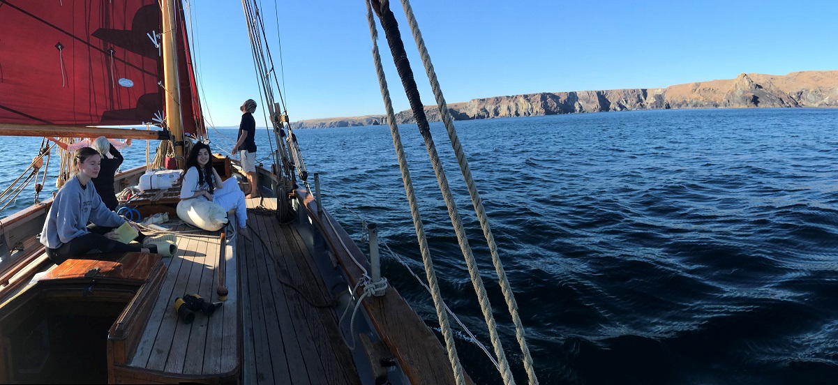 RYA Competent Crew or Day Skipper RYA Competent Crew or Day Skipper